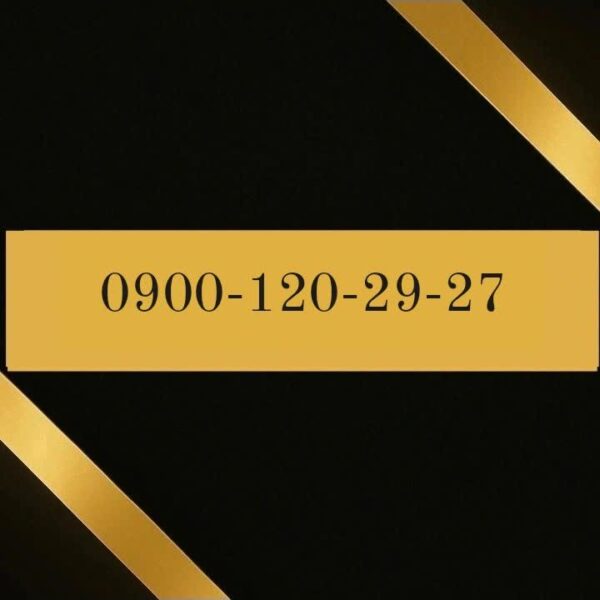 900-120-29-27