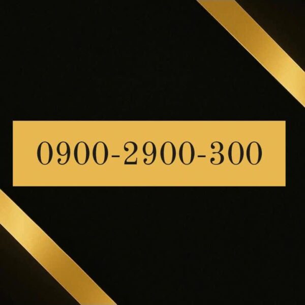 900-2900-300