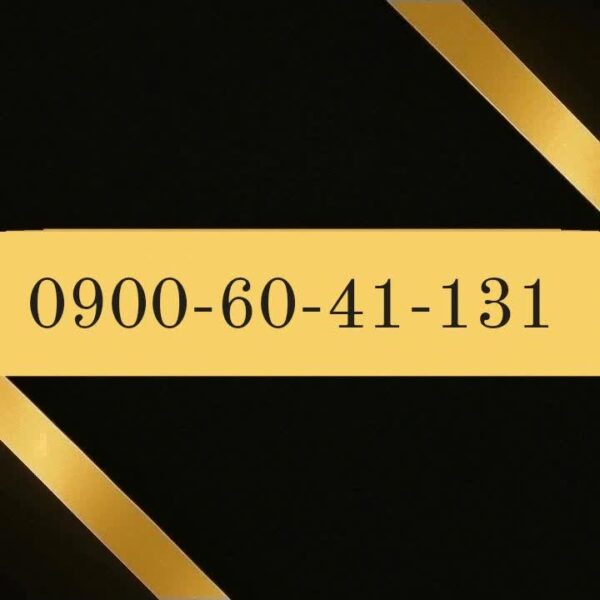 900-60-41-131