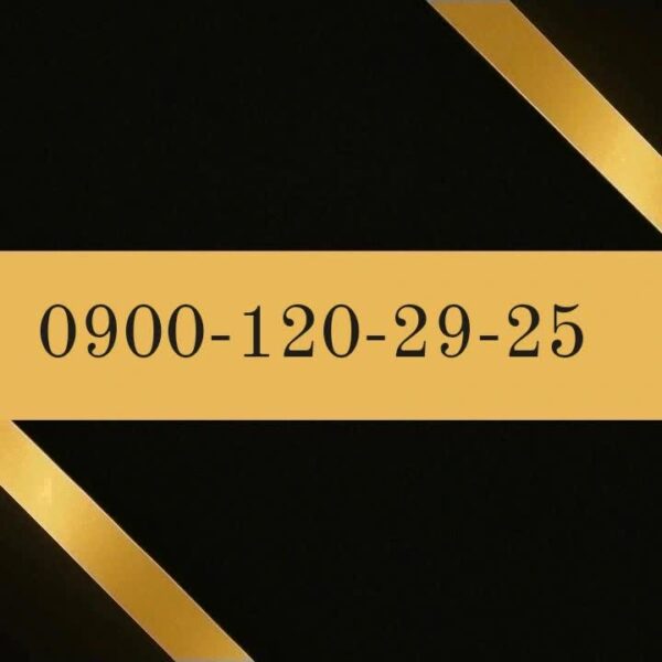 900-120-29-25