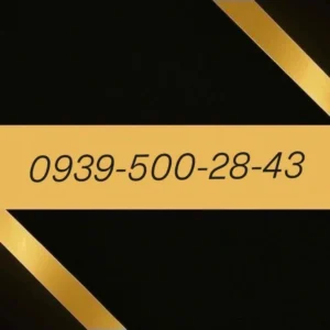 9395002843